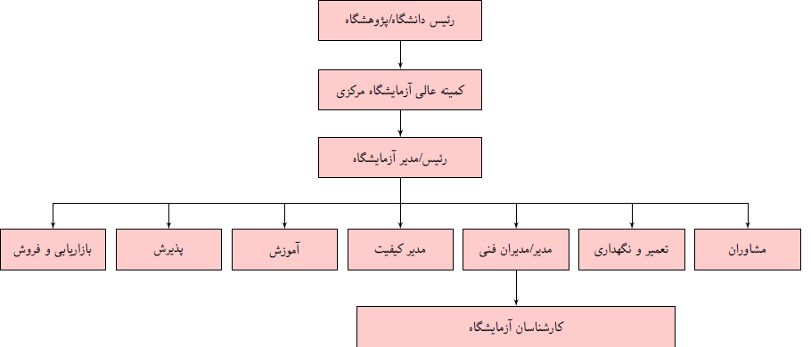 hierarchical diagram